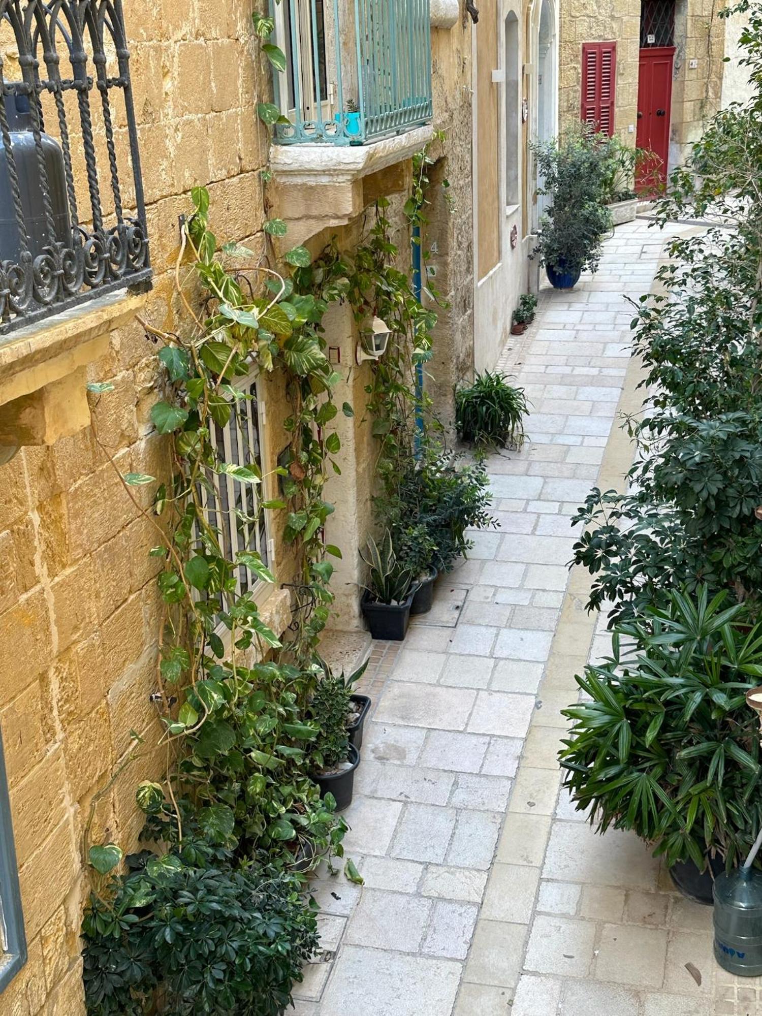 Felipe X Casa Norte ビルグ エクステリア 写真